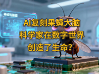 �w��ȤՄ����ʮ������AI��(f��)�̹�ω���X���ƌW(xu��)���ڔ�(sh��)�����焓(chu��ng)����������