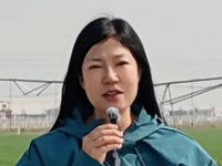 ����(sh��)�Ǻ��� �����ԭ���������|(zh��)���a(ch��n)�����}̽�L(f��ng)